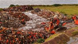 Liberty Industrial Northern Producer Scrap piles